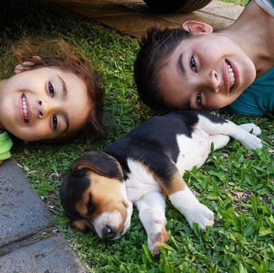 juancarlokronas's profile picture. 