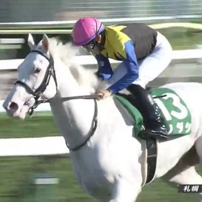 JRAの帯と高知ファイナルに恋愛中💴🏇好きな馬はソダシ🐴好物はビールとワインとバイクとロックンロール🍻🏍