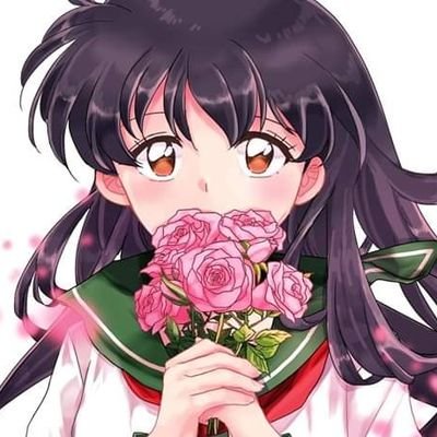 Me llamo Kagome Higurashi, viaje a la época feudal donde conocí a Inuyasha, y junto a nuestros amigos arriesgamos nuestras vidas para reunir los fragmentos.