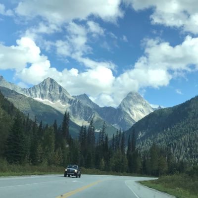 living with MM. Himalayas, hockey ref, detest liars. great friend, partner, parent #deplorable #3Nov #MasterOfTheUniverse #AlbertaStrong