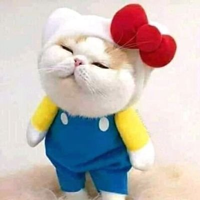 shabbir_maida's profile picture. 