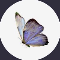 • (@b9ada8ah) 's Twitter Profile