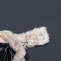 openword4's profile picture. 