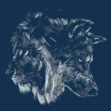 Yovany88464706's profile picture. Lobosolitario