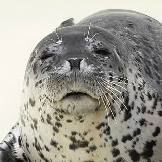 MiyzQkLfXdN2WcR's profile picture. 20↑