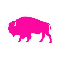 HRBuffalo(@hr_buffalo) 's Twitter Profile Photo