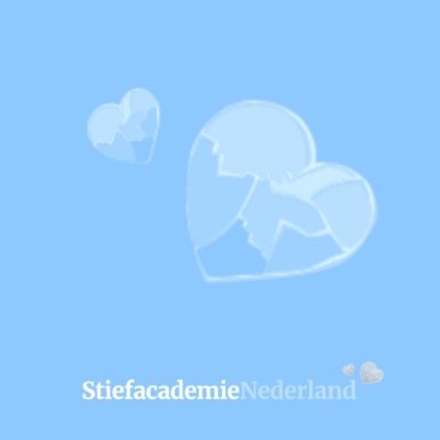 Platform voor en door stief/ouders/-verzorgers en professionals. https://t.co/1O1FvV0M2R