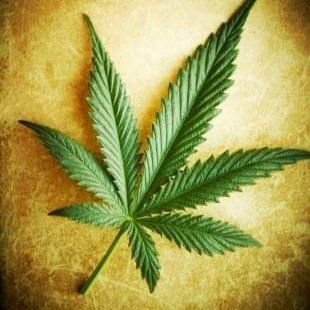 AONDE TA A FORTE ?!🍁
AJUDA OU PARCERIA NA DM💥AKI VOCÊ FICA SABENDO AONDE TA A FORTE💥TT NOVO💥 MANDEM FOTOS📸🤳💥