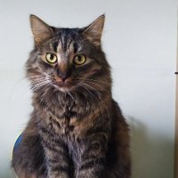 BeataZ (@beatazangerl) 's Twitter Profile