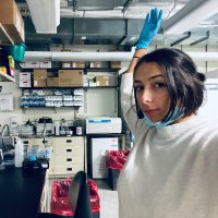 Rebecca Sereda (@beccasereda) 's Twitter Profile