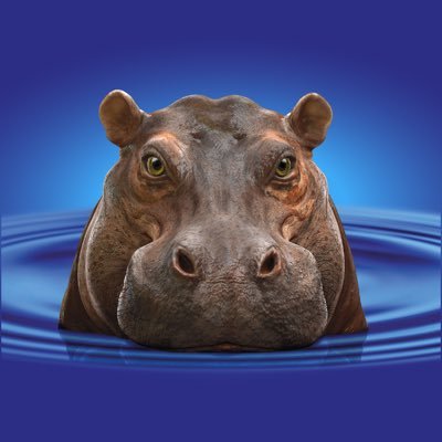 HippoProducts's profile picture. Professional building, decorating and DIY products for a BIGGER, BETTER, PERFORMANCE. Hippo® is a registered brand name of Tembé DIY Products Ltd