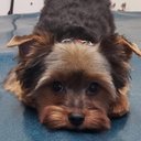 marilyn hale - @marilyn72915555 - Twitter