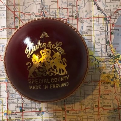 The great sport of cricket in the Central Michigan region