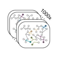 Papin Lab (@papinsysbio) 's Twitter Profile Photo Papin Lab (@papinsysbio) 's Twitter Profile Photo