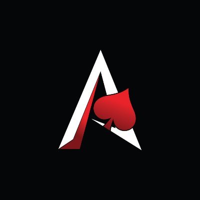 ACE ROLEPLAY INC. 

A roleplay community on GTA5 so people worldwide could connect with each other and have a connection this is ACE RP