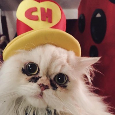 ViMadness's profile picture. I'm Vima, one of my favorite games of all times is Ori and the Will of the Wisps
That's it, that's the Bio, that's all you have to know.
