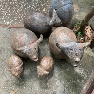 SoBall19's profile picture. 