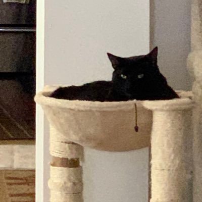 JohnSupergan's profile picture. Person of faith, seeking the planet’s pulse, and devoted to speaking truth. All opinions my own.