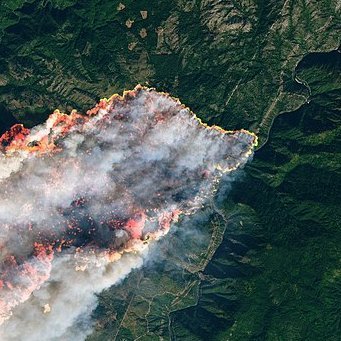 -For ENGL 420 Project-
Working together with the US Forest Service to inform about what conditions contribute to the rise in wildfire frequency and intensity