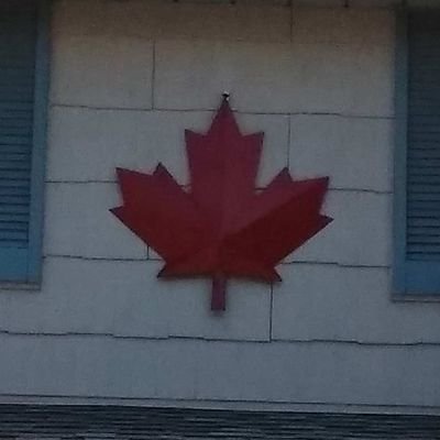 lleftie163's profile picture. Proud Canadian, Wife, Mom, who loves camping, and all four of the seasons