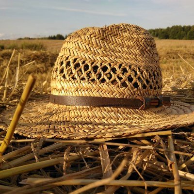 Mąż, ojciec 4 dzieci 👧👧👦👧. Rolnik 🚜🌽🌾👨🌾, udzielam się w trzecim sektorze🇵🇱🏡👨👩👧👦 ✝️