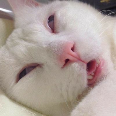 การเปนคนมันลำบาก