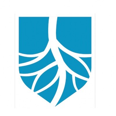 JCLI, the official journal of the CLI Global Society, is a quarterly international peer-reviewed journal and online clinical resource for those treating CLI.