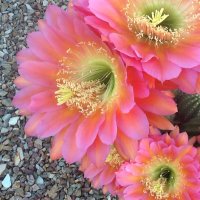 SOME PHOTOGRAPHS (@matrav32) 's Twitter Profile