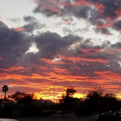 shwetahirapara's profile picture. 