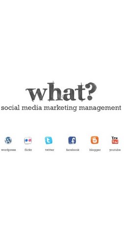 WHAT? social media marketing management