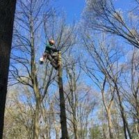 Plays With Squirrels (@ora_unleashed) 's Twitter Profile