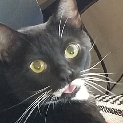 I am a Traditional Artist. Ill do request.
Im also a gamer. Fck you Una, hacking bitch.