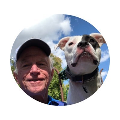 Dan Reardon Profile
