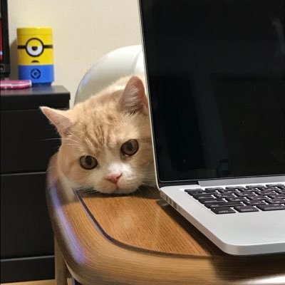 KCODECLUB9651's profile picture. プログラミングをこれから学びたい方や初心者の方に向けて日々記事を書いて情報を発信しています。 無料の個別相談も実施しているので、現役SEに聞きたいことがある方はお気軽にご連絡下さい。公式サイトからでも、DMからでも大丈夫です！