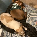 Matt Denman - @MattDenman12 - Twitter