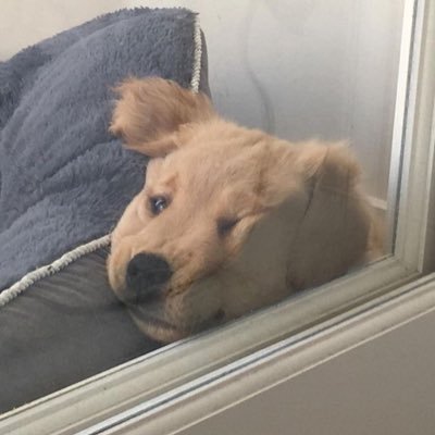 valさんのプロフィール画像
