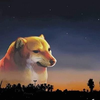 Arturo7818's profile picture. Xd