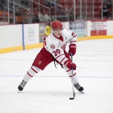 Denver University Hockey #29