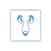 Caribbean Center for Reconstructive Urology (@ccrurology) Twitter profile photo Caribbean Center for Reconstructive Urology (@ccrurology) Twitter profile photo