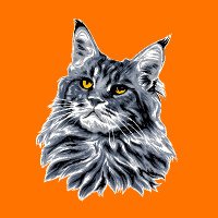 mainecoon Cat Lovers(@mainecoongalery) 's Twitter Profile Photo