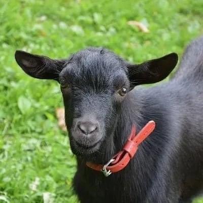 3004AprilLuna's profile picture. TVXQ! Fan since 2006 || SKT T1, CJ 13-16, Longzhu 16 17 & Deft || R1SE || Rikimaru, Zhang Jia Yuan || I do whatever I like ★