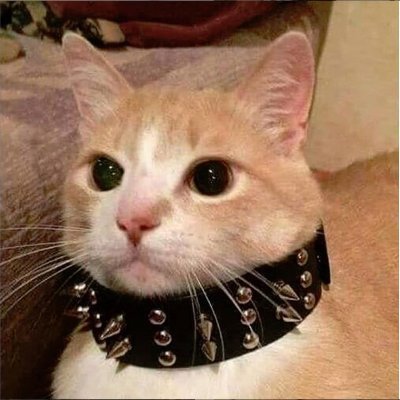 itgetsbetter122's profile picture. 
