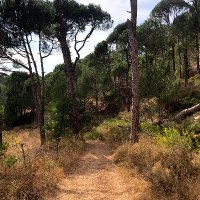 Raja (@hassraja) 's Twitter Profile Photo