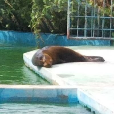 tofu_myblog's profile picture. ブログの更新や日常のあれこれ。
慢性腎臓病について色々知りたいです。無言フォローですみません。
豆腐メンタルなので優しくしてください。