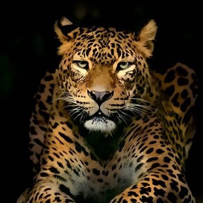 ghost_inc_2's profile picture. Cruisee🔥🔥