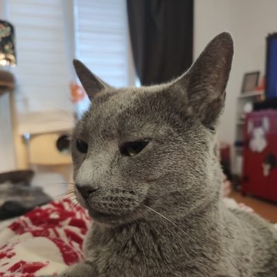 pasmalin's profile picture. Pasmalin à temps plein depuis le siècle dernier.
Fainéant.