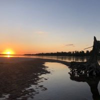 Dariusz Ryś (@dar_c1) 's Twitter Profile