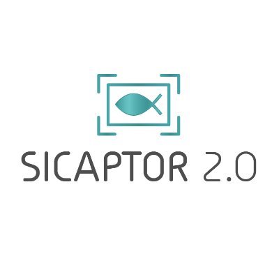 SICAPTOR y SICAPTOR 2.0 son proyectos Pleamar de la FB, cofinanciados por el FEMP, para identificar y cuantificar la pesca con inteligencia artificial.