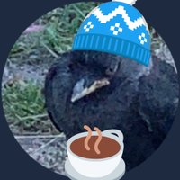 Sabina is running out of ideas(@TenderPNut69) 's Twitter Profile Photo