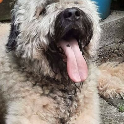 DRokebrand's profile picture. Gehuwd en een prachtige dochter. Werkzaam bij ANKO